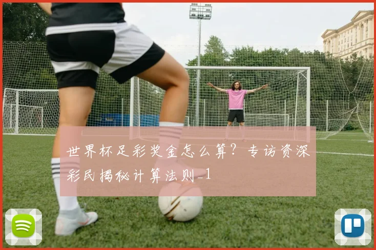世界杯足彩奖金怎么算？专访资深彩民揭秘计算法则_1