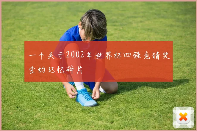 一个关于2002年世界杯四强竞猜奖金的记忆碎片